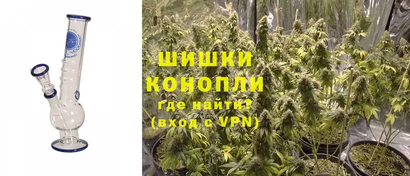 Бошки марихуана OG Kush  Сургут 